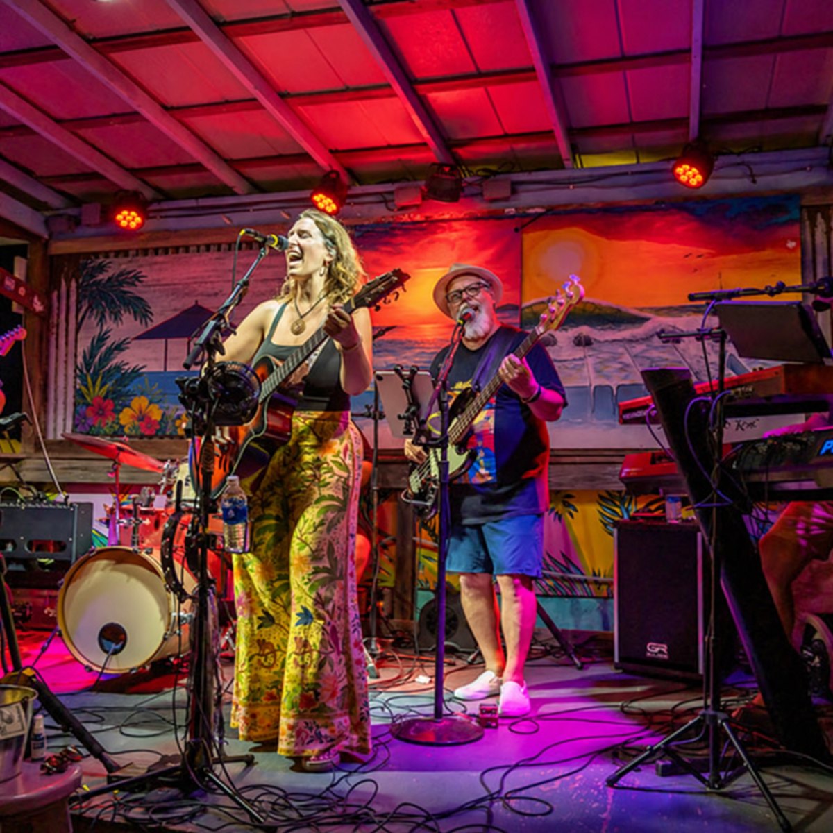 CC & The Sunsetters performing live